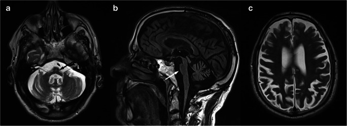 Fig. 5