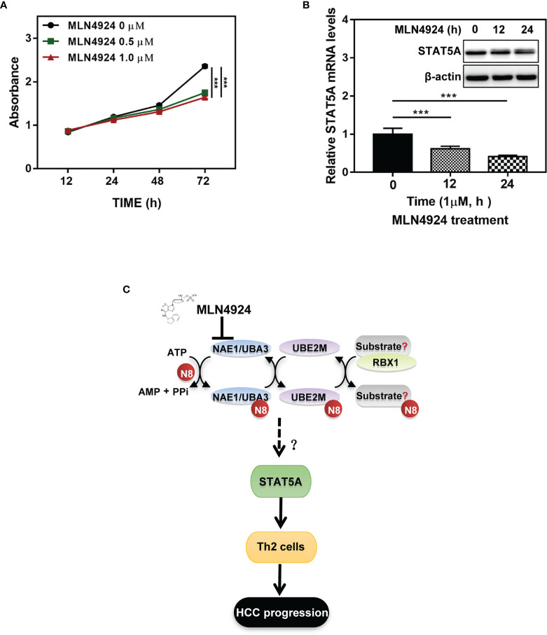 Figure 7