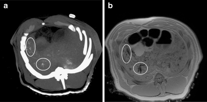 Fig. 5