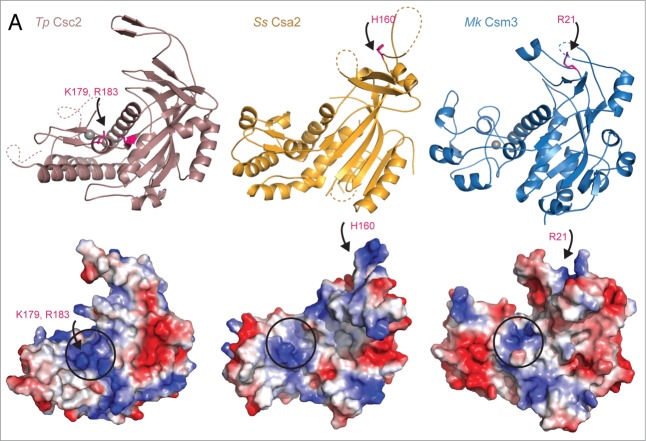 Figure 5.