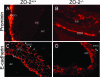 FIG. 9.