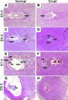 FIG. 3.