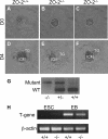 FIG. 7.