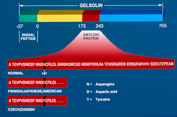 Figure 45