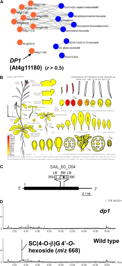 Figure 6.