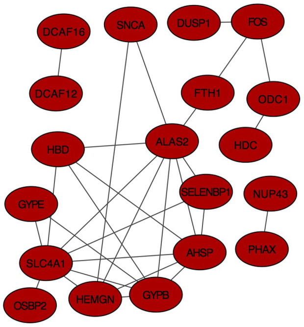 Figure 2