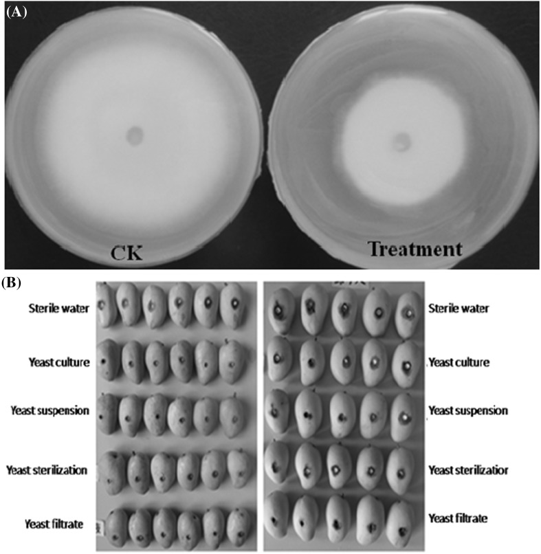 Fig. 6