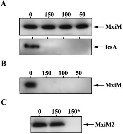 FIG. 5