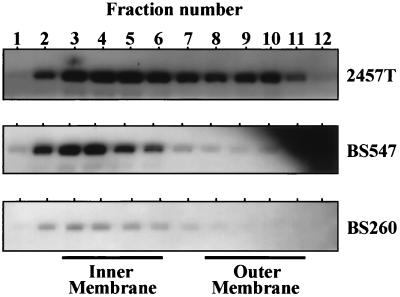 FIG. 6