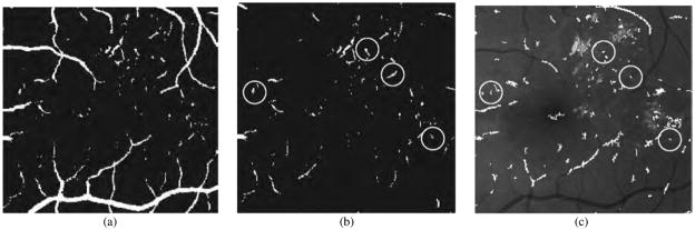 Fig. 9