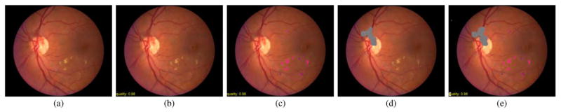 Fig. 6