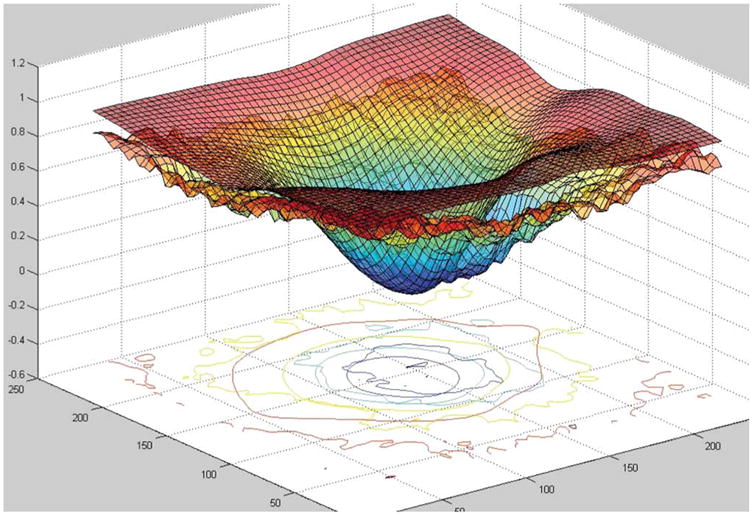 Fig. 19