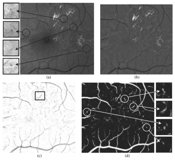 Fig. 8