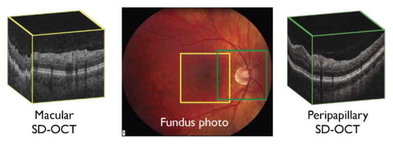 Fig. 20