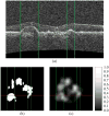 Fig. 27