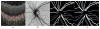 Fig. 24