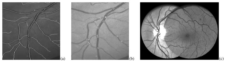 Fig. 36