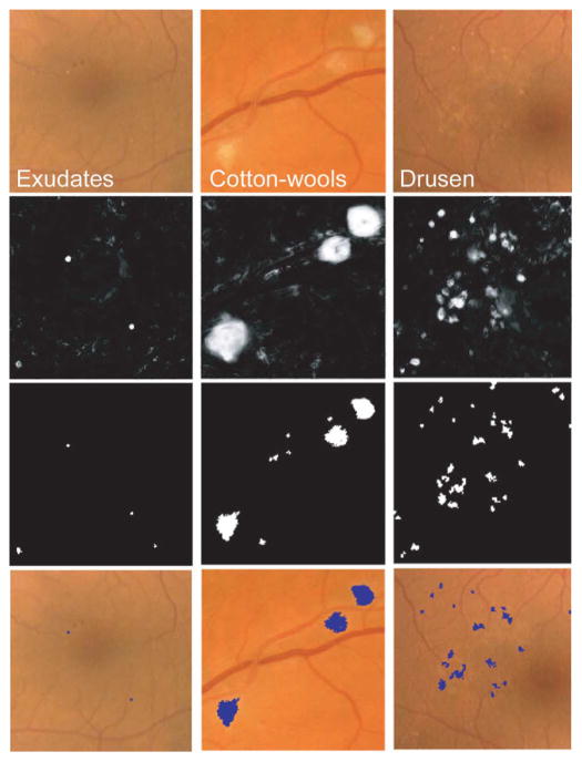 Fig. 10