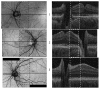 Fig. 40