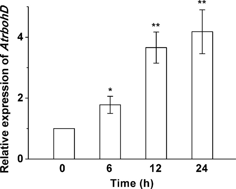 Figure 1.