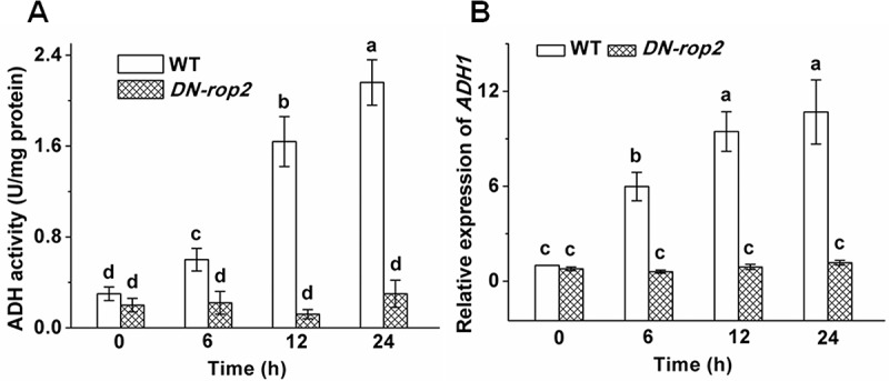 Figure 5.