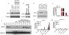 Extended Data Figure 4:
