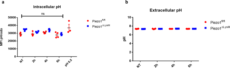 Extended Data Figure 3: