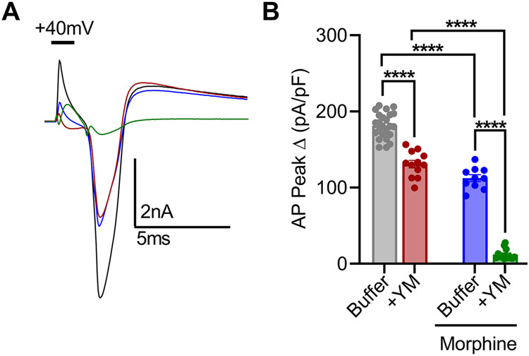 Figure 5: