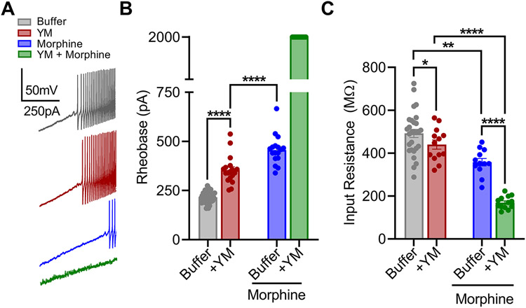 Figure 4: