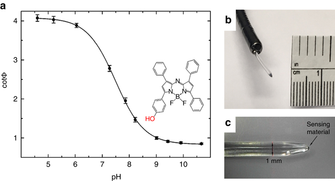 Fig. 6