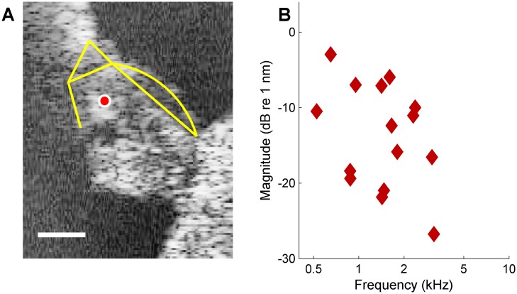 Figure 1—figure supplement 1.