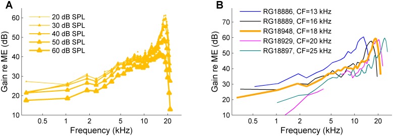 Figure 4—figure supplement 1.