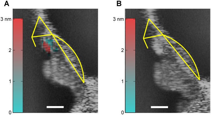 Figure 1—figure supplement 2.