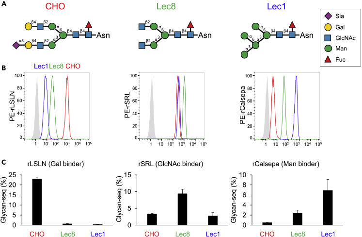 Figure 3