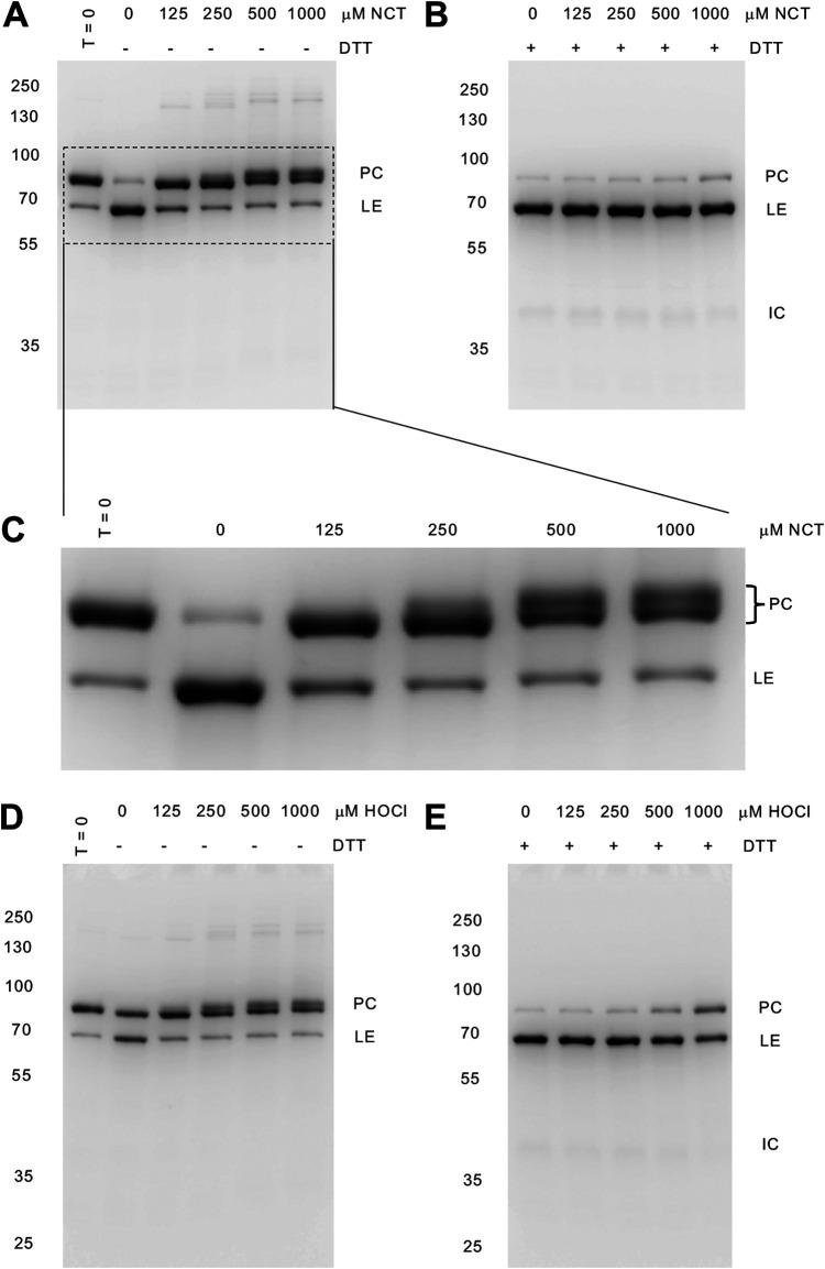 FIG 2