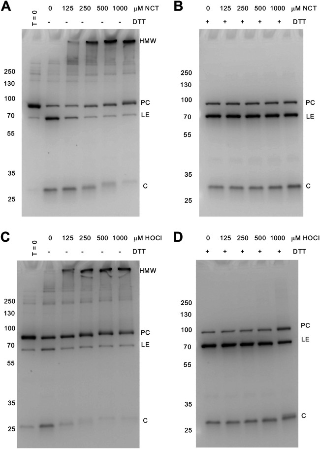 FIG 3