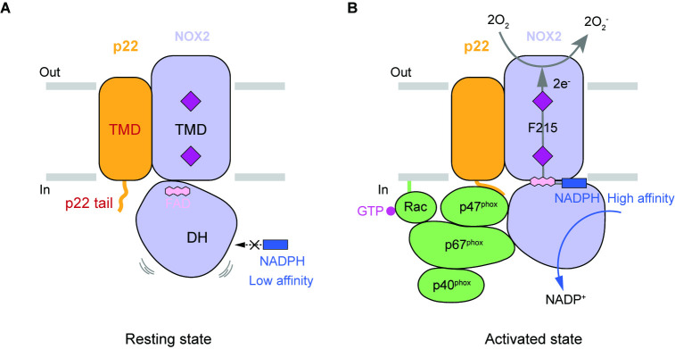 Figure 6.