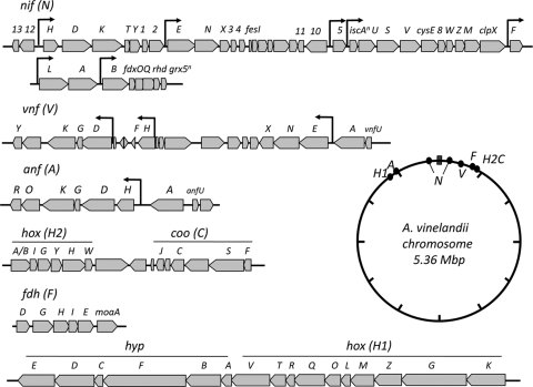 FIG. 2.