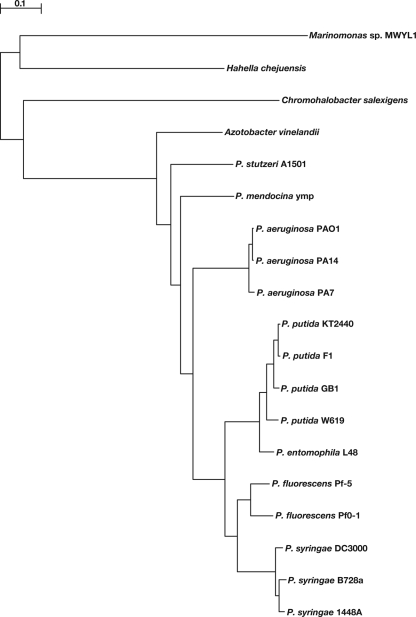 FIG. 1.