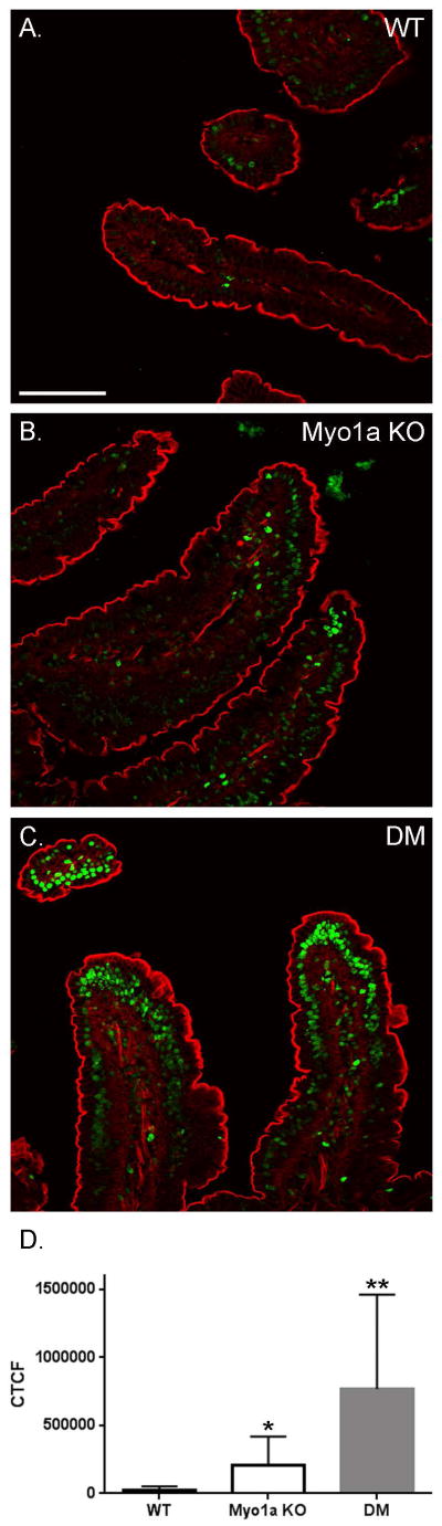 Fig. 14