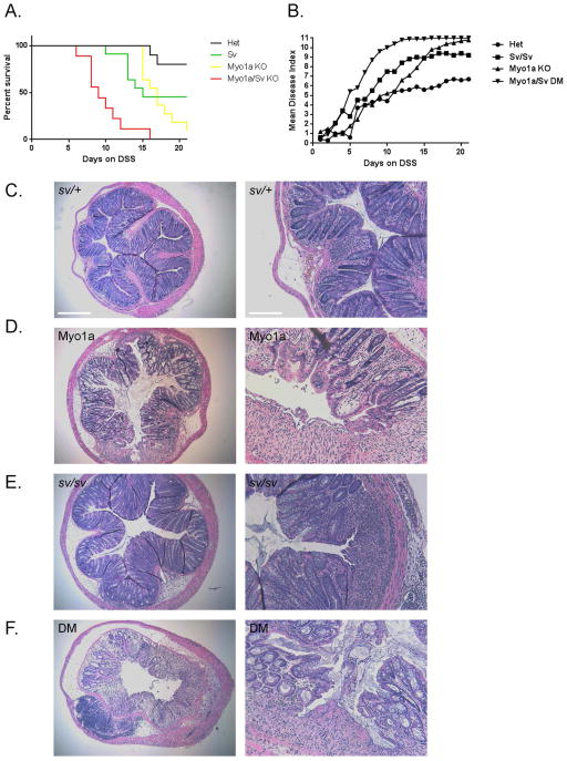 Fig. 13