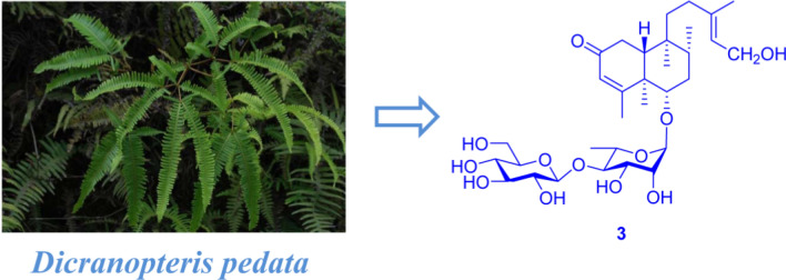 graphic file with name 13659_2021_315_Figa_HTML.jpg