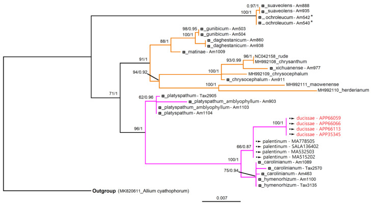 Figure 11