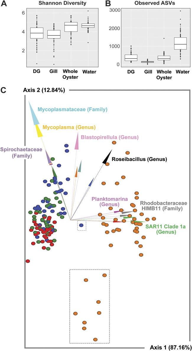 FIG 3