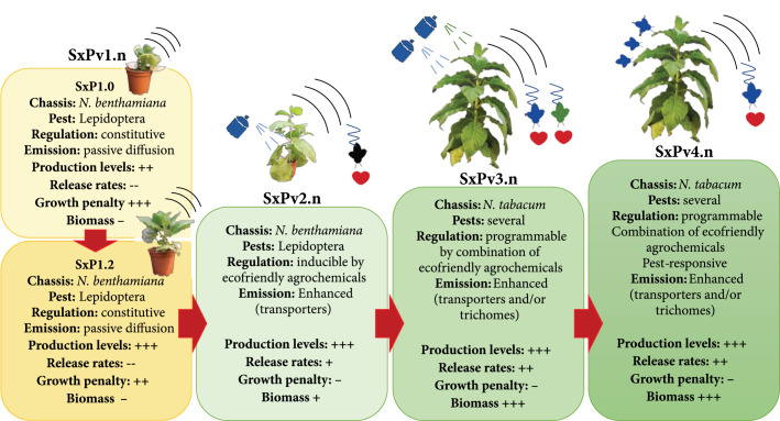 Figure 7