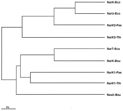 FIG. 1