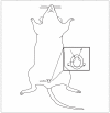 Figure 14.14.2