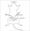 Figure 14.14.1