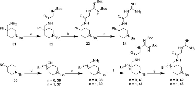 Scheme 6