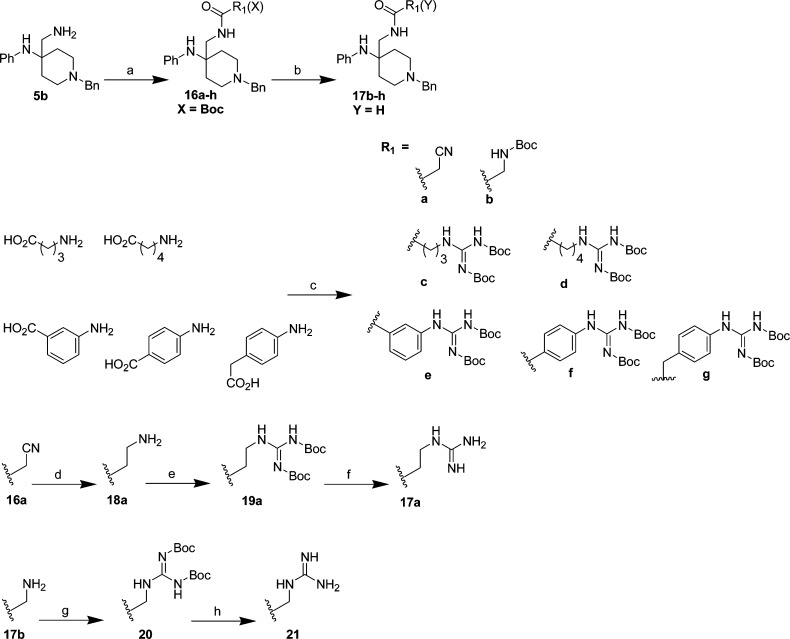 Scheme 3